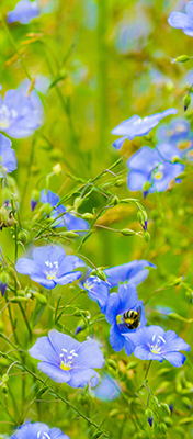 ThermaSoft avantage doux