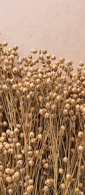 ThermaSoft avantage flexible et rigide