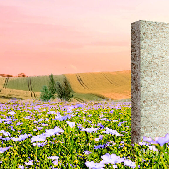 Illustration ThermaSoft - Knauf